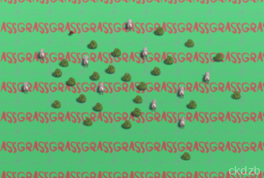 Pig Simulator 2024 Screenshot 2