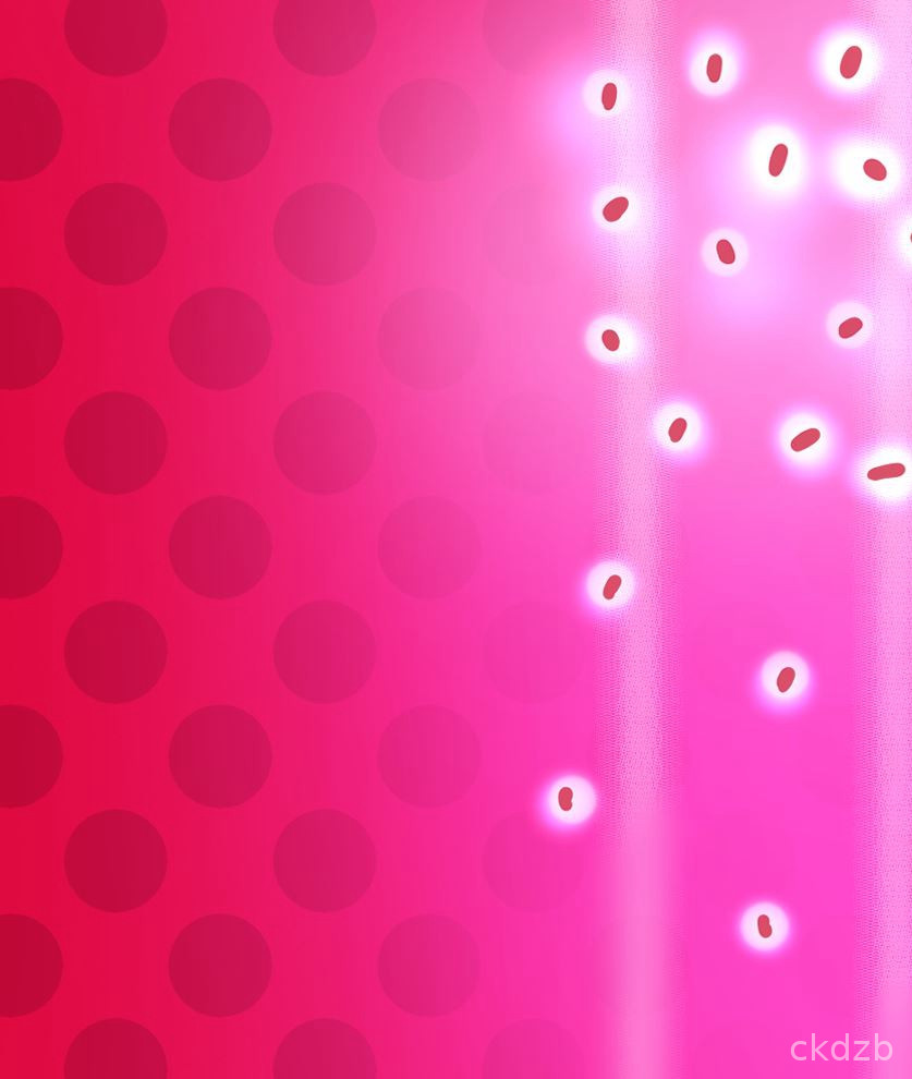 Miraculous Stories Screenshot 3