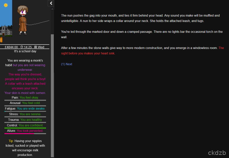 Degrees of Lewdity (v0.5.2.6) Screenshot 2
