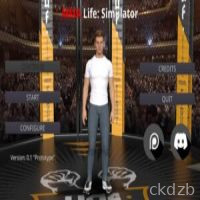 MMA Life Simulator