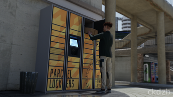 Fiction Paradox Screenshot 10