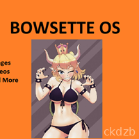 Bowsette OS