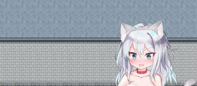 Rookie Knight Mina - City of The Succubus Screenshot 1