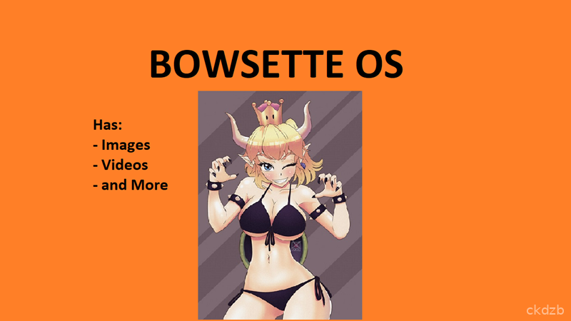 Bowsette OS Screenshot 1
