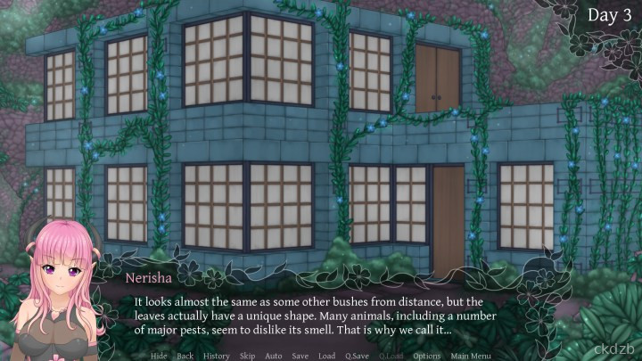 Succubus Research Diary Final Screenshot 1