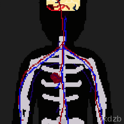 The Human