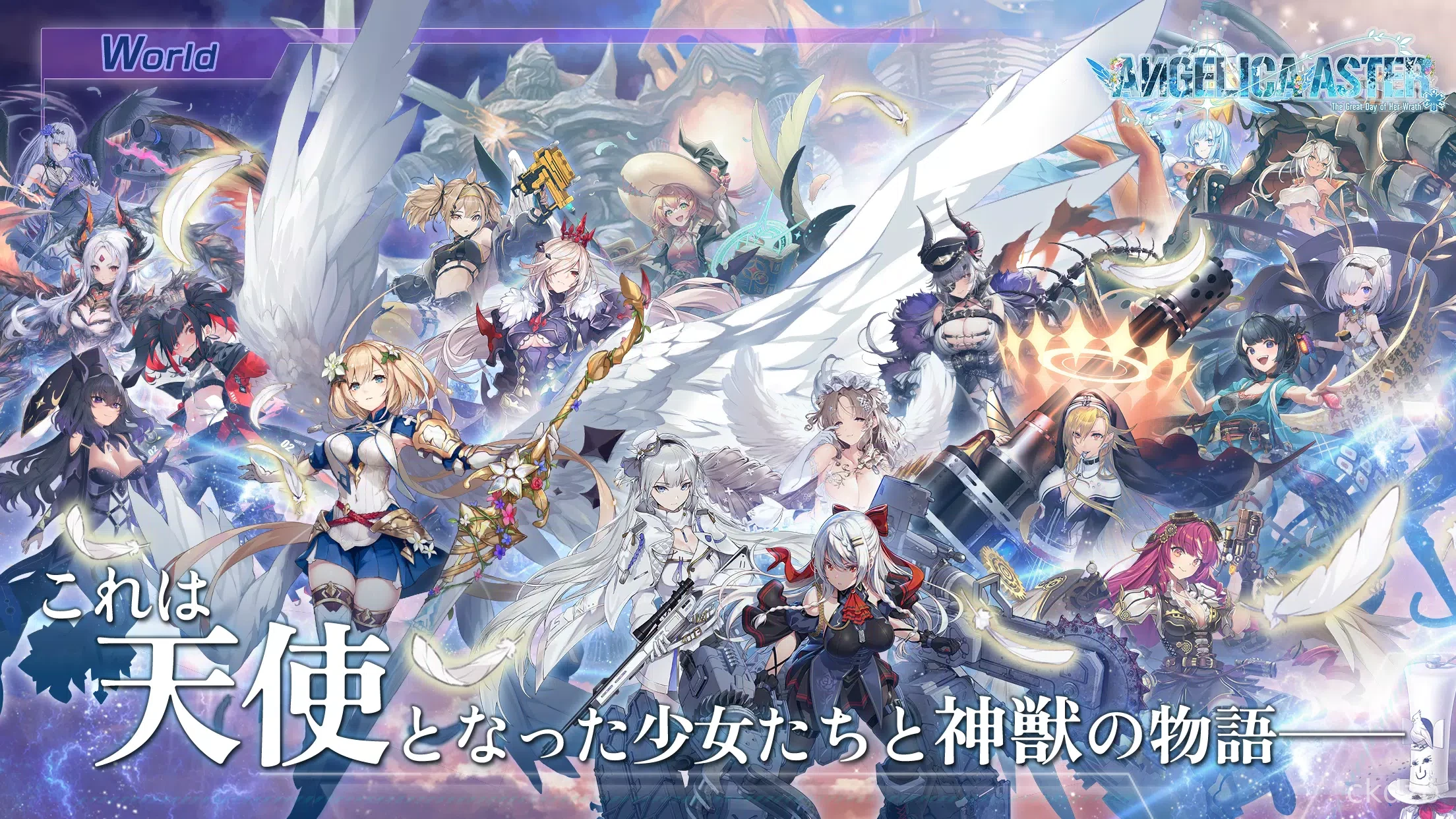 ANGELICA ASTER Screenshot 1