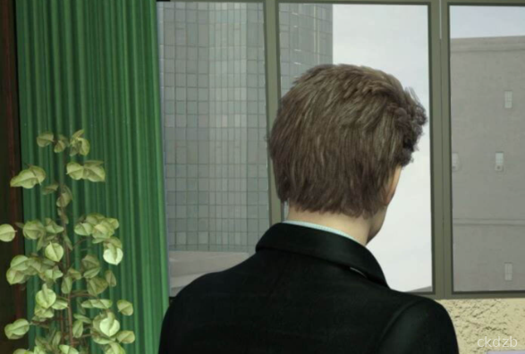 The Regional Manage Screenshot 3