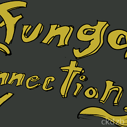 Fungal Connections