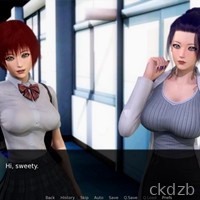 My Harem Story