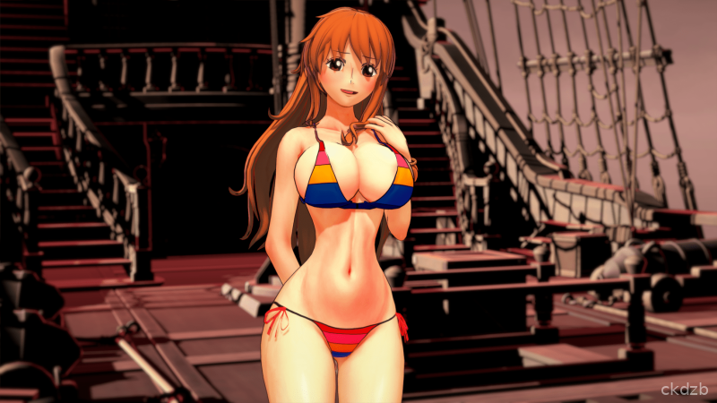 One Piece: Lost At Sea Screenshot 2