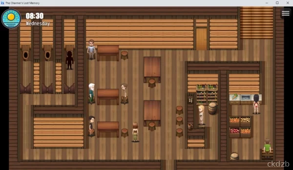 The Charmers Lost Memory Screenshot 3