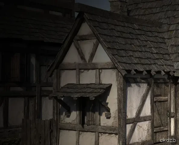 The Mercenary Screenshot 2