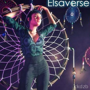 Elsaverse: Transitions