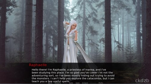 Damsels and Dungeons Screenshot 3