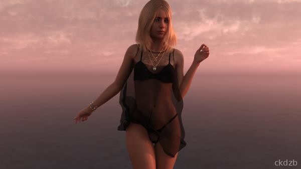 The Sister in Law Screenshot 2