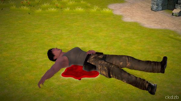 Life and Death Screenshot 2