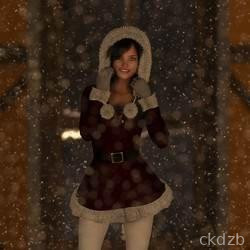 Christmas Adventure