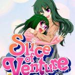Slice of Ventures Origins