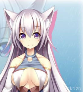 Platina Experience Screenshot 3